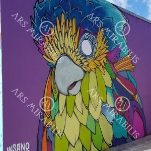 #Art by @studioinsano
