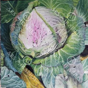 #Art by @estherhuser
