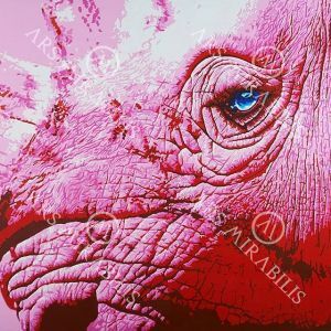 #Art by @sabrinarupprechtart